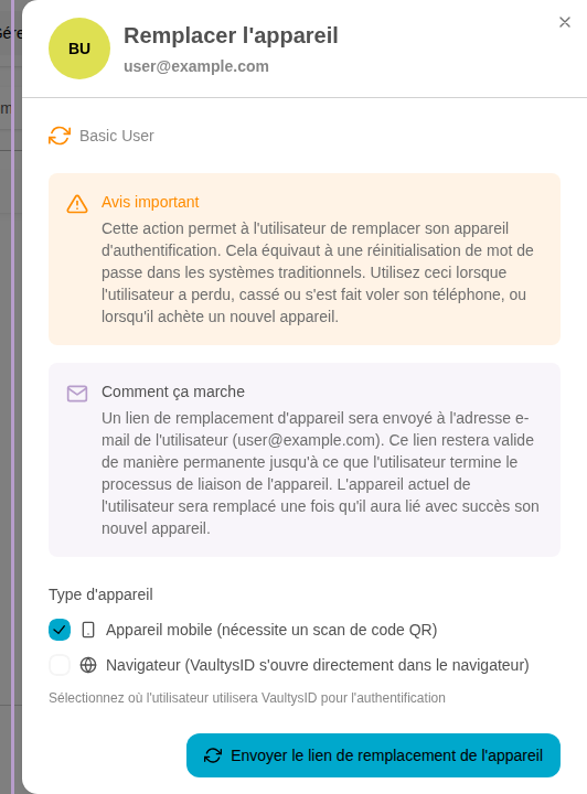 Das Ersetzungsfenster öffnet sich mit den Informationen zum Vorgang