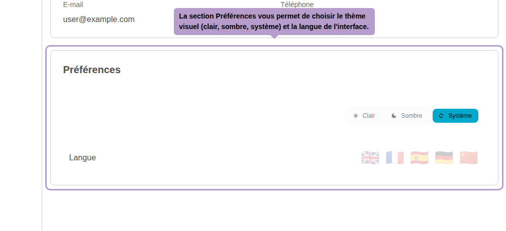 Der Abschnitt Einstellungen ermöglicht es Ihnen, das visuelle Thema (hell, dunkel, System) und die Sprache der Benutzeroberfläche auszuwählen.